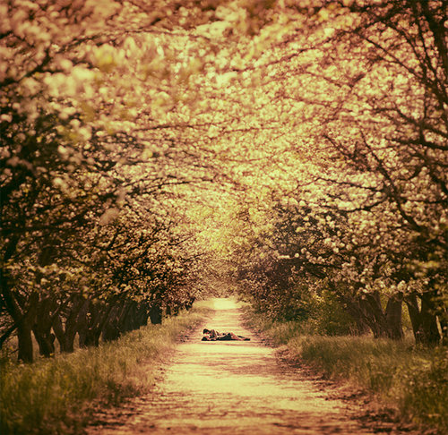 eternity dreams in pink