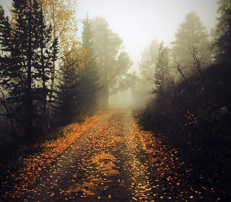 71b697a6ed44d748e2f77ca47f76180c-d31yg86