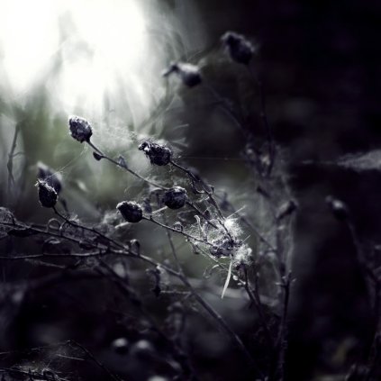 our_history_by_vexingart-d3hjqfy