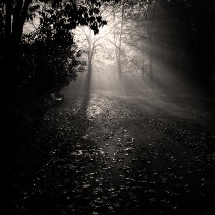 Autumn_light_II_by_WiciaQ