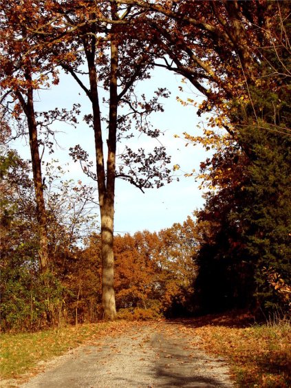 redriver cemetary road