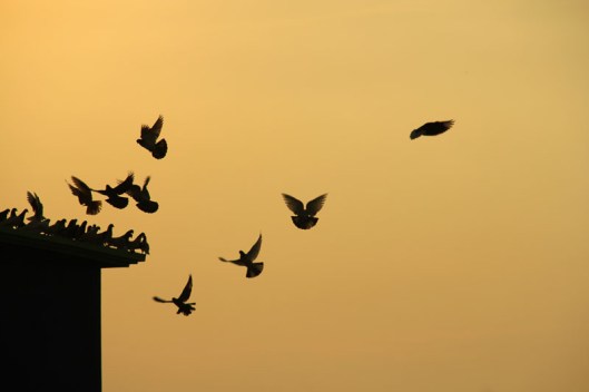 08b5ce7fcbe83e3bb5c513d4138f7fd5-d4kpe42