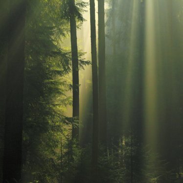 light_viii_by_indojo-d4ui9cn