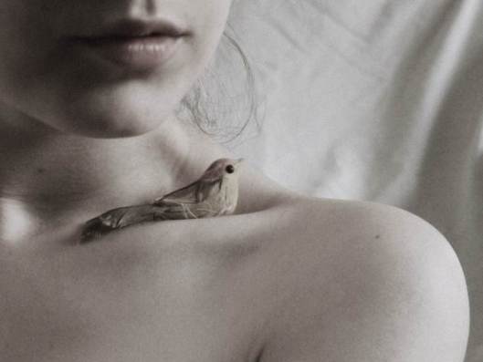 bird_by_masscotie-d6mssh0