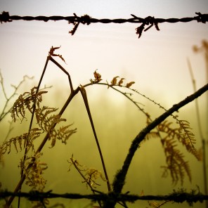 310f2b2ba8b53c172c9be041d75d67b4