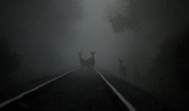 alexandriabynearlight