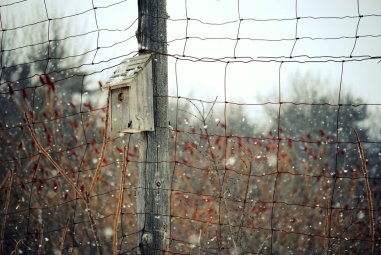 something matters more