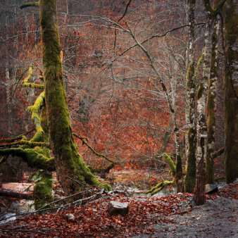 by_the_river__by_alabastra-d2lizig