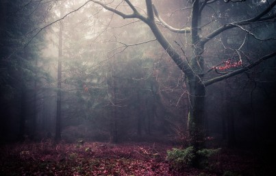 1d4cc5b09c52ea2d53f60898cf0a0574-d7n0irl