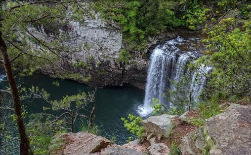 12998626_10153643973946275_7704908785686098454_n