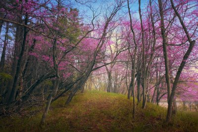 manchesterspring2018