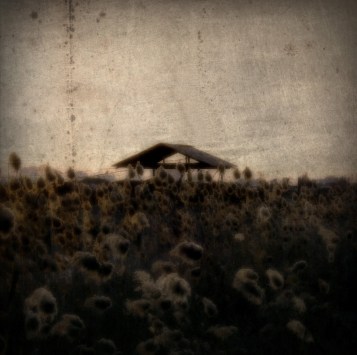 when I see you again