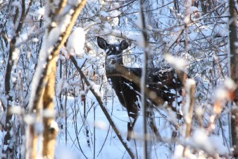 sometime still_edited